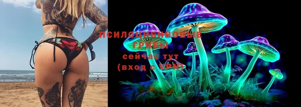 МДПВ Алексин