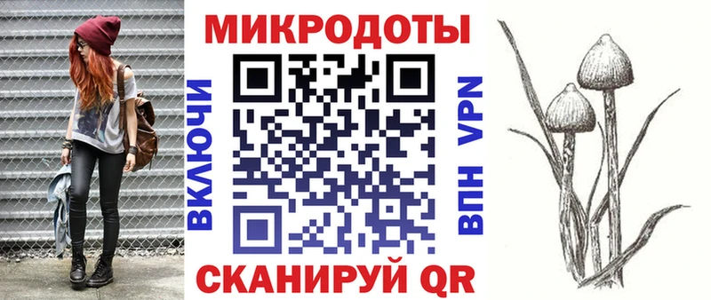 Галлюциногенные грибы прущие грибы  где можно купить   Шахты 